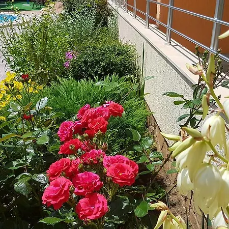 Sundance Village аpartments * Σάνι Μπιτς